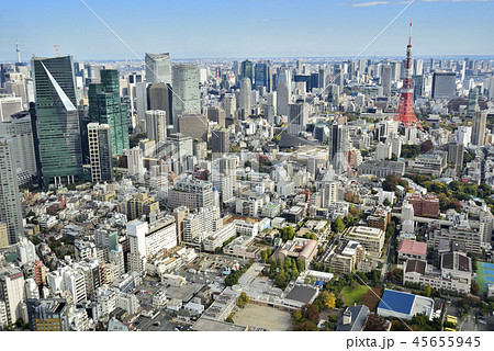 東京タワーと東京の街並み 45655945