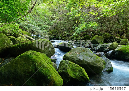 尚仁沢ブルーの渓谷美＠栃木 45656547