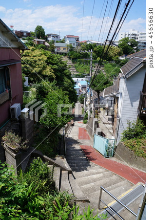 横須賀風物百選、うらが道と周辺の街並み(神奈川県横須賀市) 横須賀風物百選、うらが道と周辺の街並み(神奈川県横須賀市) 45656630
