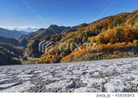 南相木ダム　紅葉 45656943