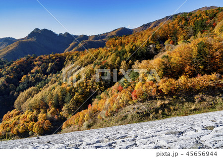 南相木ダム　紅葉 45656944