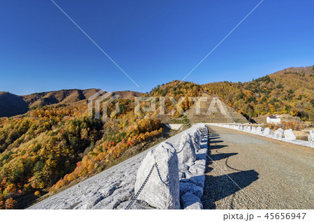 南相木ダム　紅葉 45656947