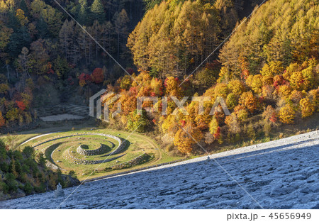 南相木ダム　紅葉 45656949