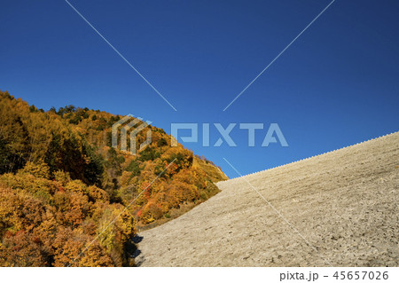 南相木ダム　紅葉 45657026