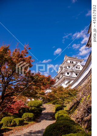 秋の郡上八幡城 紅葉とお城(岐阜県郡上市) 秋の郡上八幡城 紅葉とお城(岐阜県郡上市) 45657932