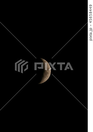 月齢5.1 月齢5.1 45658449