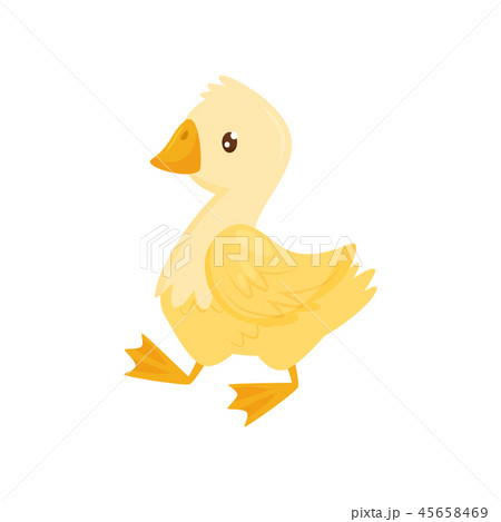Flat vector icon of cute young duck. Farm bird with yellow feathers, orange beak and legs. Poultry 45658469