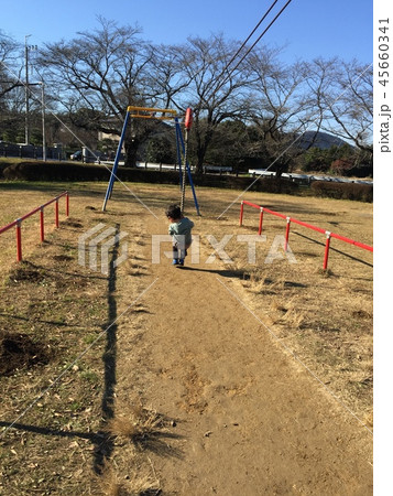 ターザンロープをする子供 ターザンロープをする子供 45660341
