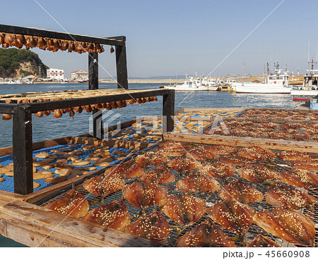 魚の天日干し 45660908