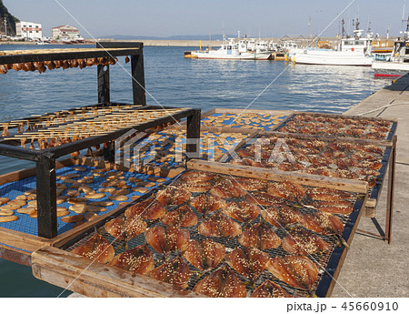 魚の天日干し 魚の天日干し 45660910