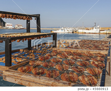魚の天日干し 魚の天日干し 45660913