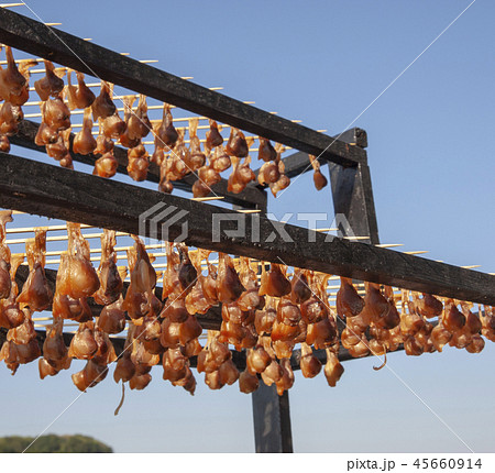 あさりの天日干し あさりの天日干し 45660914