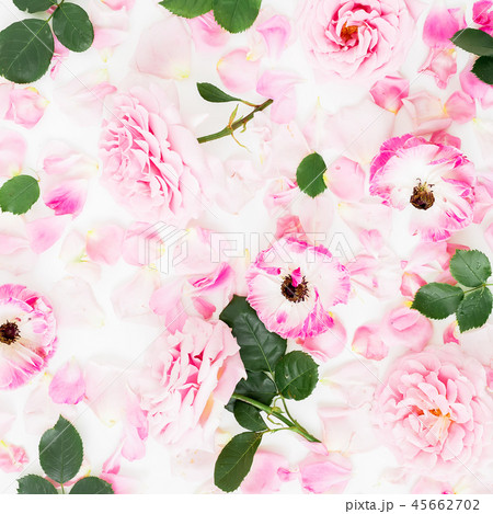 Pattern of pastel rose flowers and anemones Pattern of pastel rose flowers and anemones 45662702