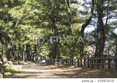 福岡 45663010