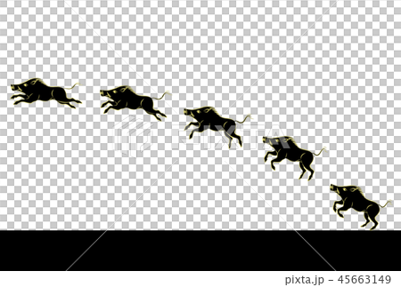 New Year's Eve illustration 45663149