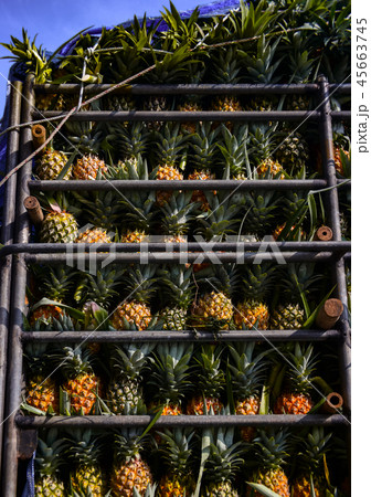 Pineapple fruit on truck Pineapple fruit on truck 45663745