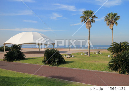 袖ケ浦海浜公園 45664121