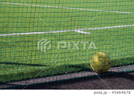 芝生のグラウンド 芝生のグラウンド 45664678