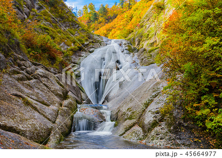 桃洞滝 桃洞滝 45664977