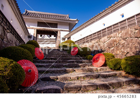 秋の郡上八幡城　和傘とお城（岐阜県郡上市） 45665283