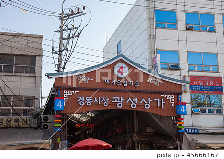韓国・京東市場(キョンドンシジャン) 韓国・京東市場(キョンドンシジャン) 45666167