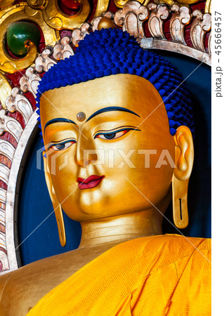 Sakyamuni Buddha statue 45666457