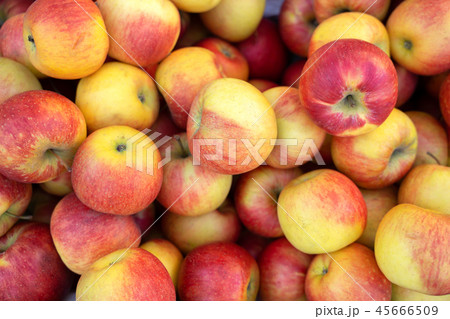 Group of red apples with their leaves 45666509