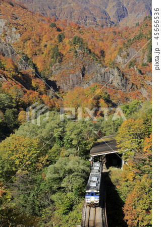 紅葉の只見線 45666536