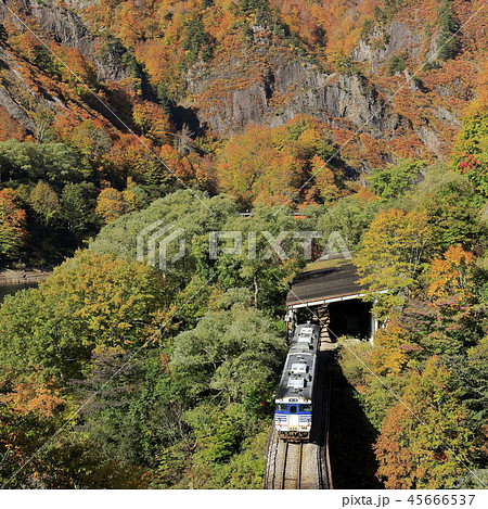紅葉の只見線 45666537