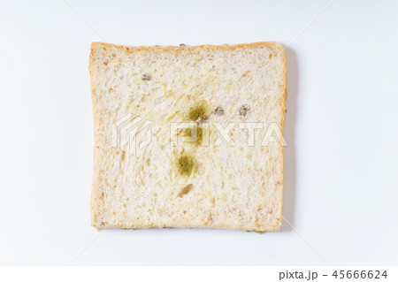 mold on white bread 45666624