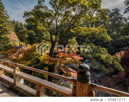 姫路にある紅葉の圓教寺（円教寺） 45667271