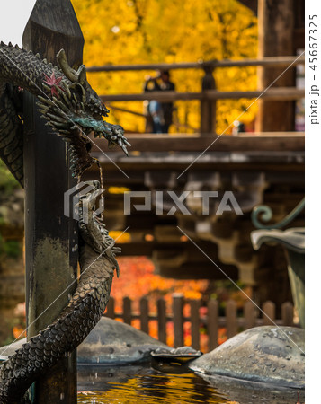 姫路にある紅葉の圓教寺（円教寺） 45667325