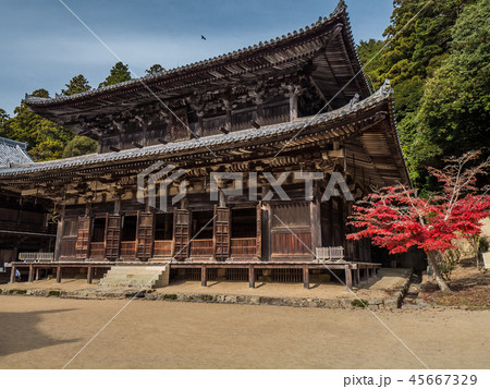 姫路にある紅葉の圓教寺（円教寺） 45667329
