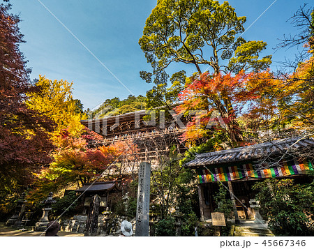 姫路にある紅葉の圓教寺（円教寺） 45667346