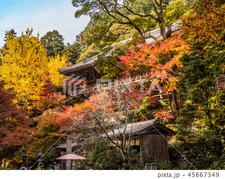 姫路にある紅葉の圓教寺（円教寺） 45667349