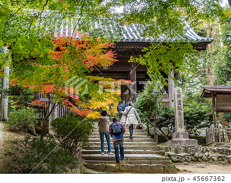 姫路にある紅葉の圓教寺（円教寺） 45667362