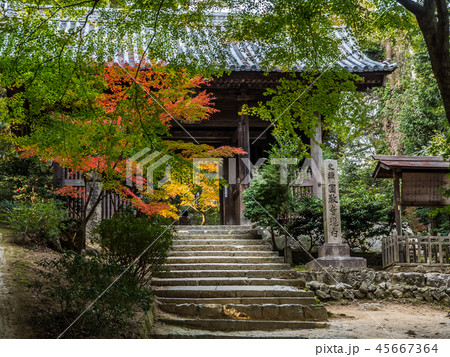 姫路にある紅葉の圓教寺(円教寺) 姫路にある紅葉の圓教寺(円教寺) 45667364