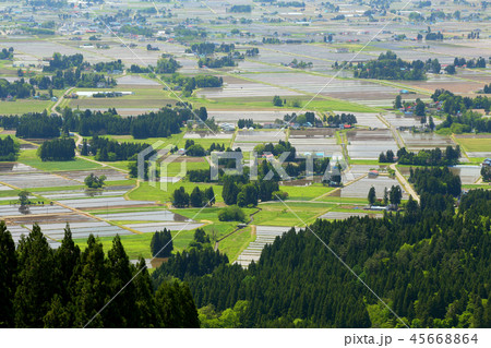 春の田園　里山の春 45668864