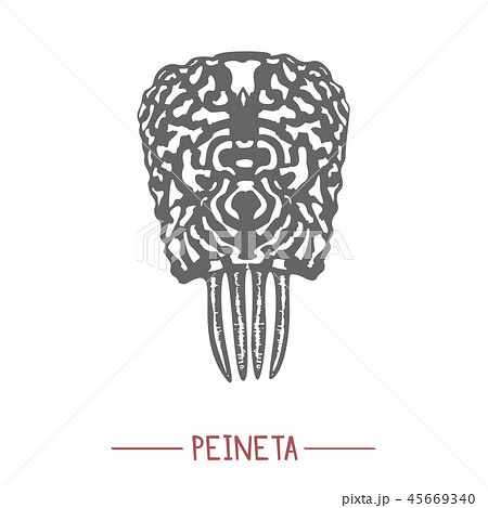 Traditional Spanish Comb Peineta in Hand-Drawn Style 45669340
