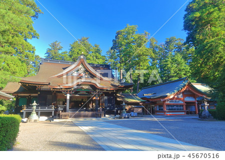 晴天下の香取神宮　拝殿 45670516