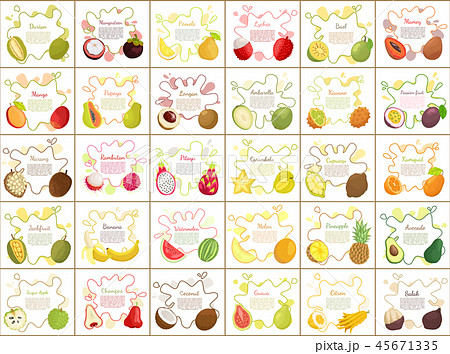 Sugar Apple and Durian Slices Vector Illustration Sugar Apple and Durian Slices Vector Illustration 45671335