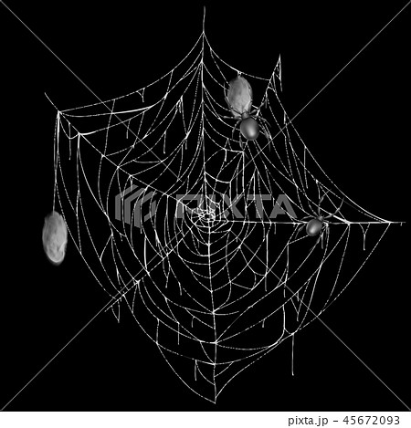 Vector white spiderweb with spiders and cocoons 45672093