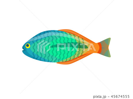 Rainbowfish aquarium fish isolated on white icon Rainbowfish aquarium fish isolated on white icon 45674555