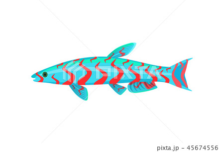 Mandarin aquarium fish isolated on white graphic 45674556