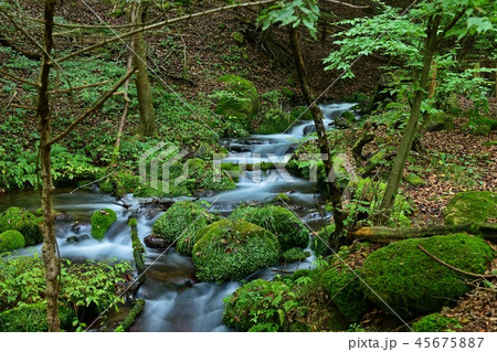 綺麗なブルーの流れ@尚仁沢湧水群 栃木 綺麗なブルーの流れ@尚仁沢湧水群 栃木 45675887