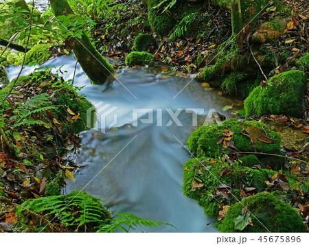 綺麗なブルーの流れ＠尚仁沢湧水群　栃木 45675896