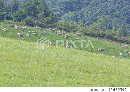 江原道 韓国 屋外 45676545