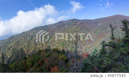 江原道 韓国 屋外 45677593