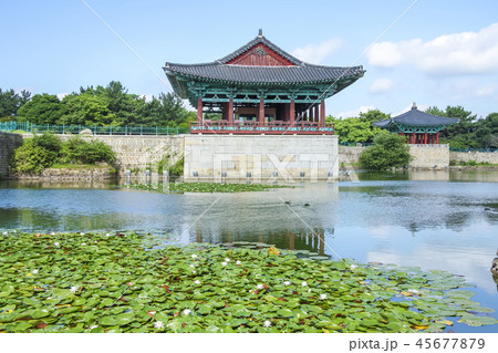 慶北 韓国 屋外 45677879
