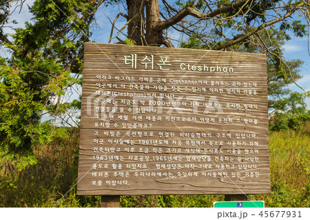 済州島 韓国 屋外 45677931